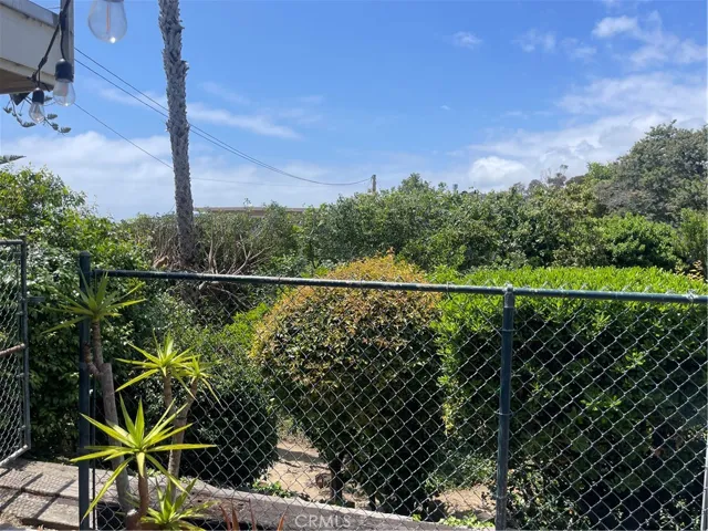 Backyard Vies