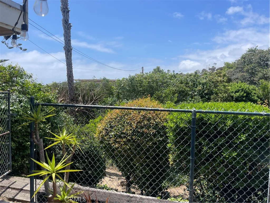 Backyard Vies