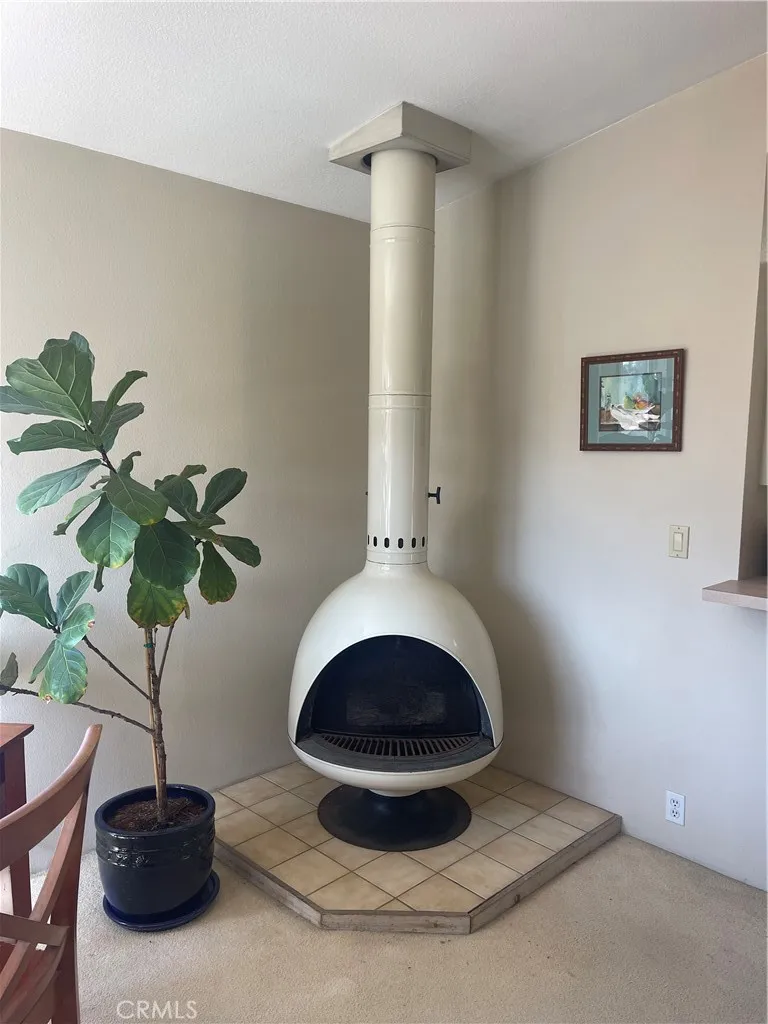 Living Fireplace