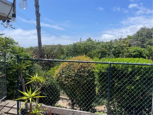 Backyard Vies