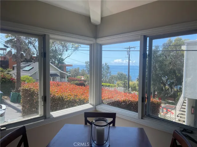 Living/Dining Window