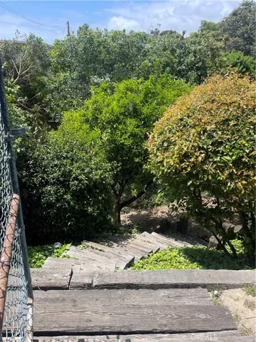 Backyard Fruit Trees