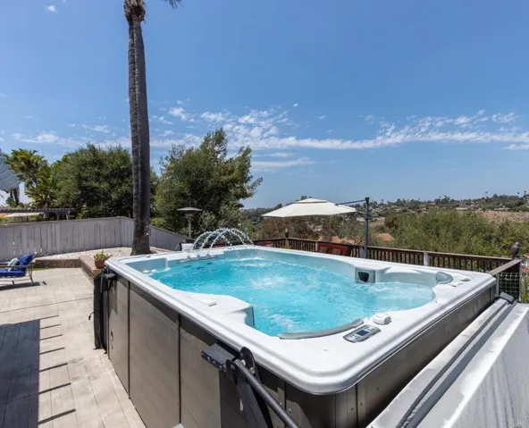 Swim spa