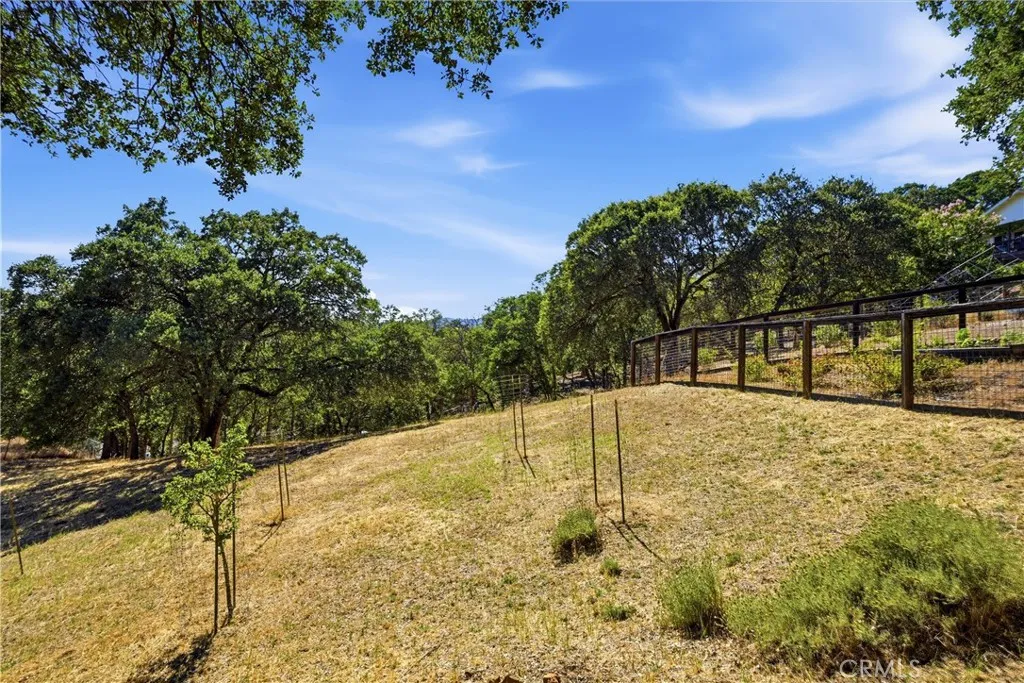 Stakes for fruit trees and yes there are some wire cages.  Hidden Valley Lake has their special herd of deer,,,,,bet you might see a fawn