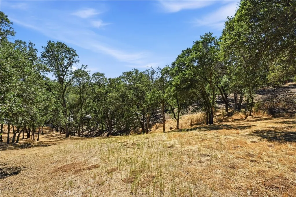 There isn't a back fence, the property line is designated between two fence corners.
