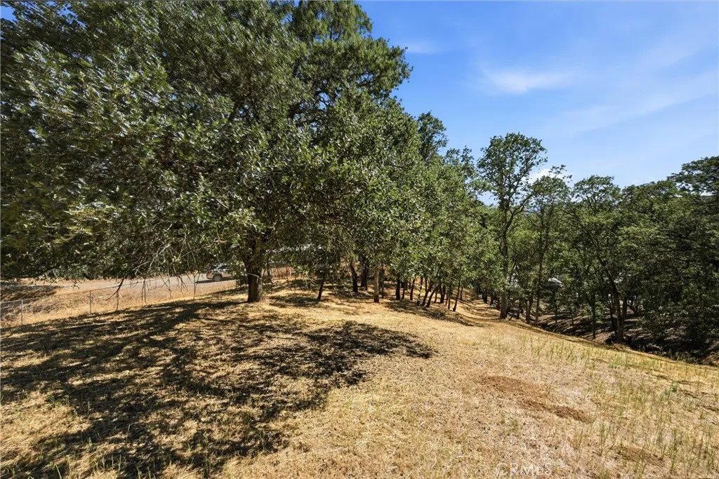 There is a chain link fence that runs down the left side of the property.  See disclosure