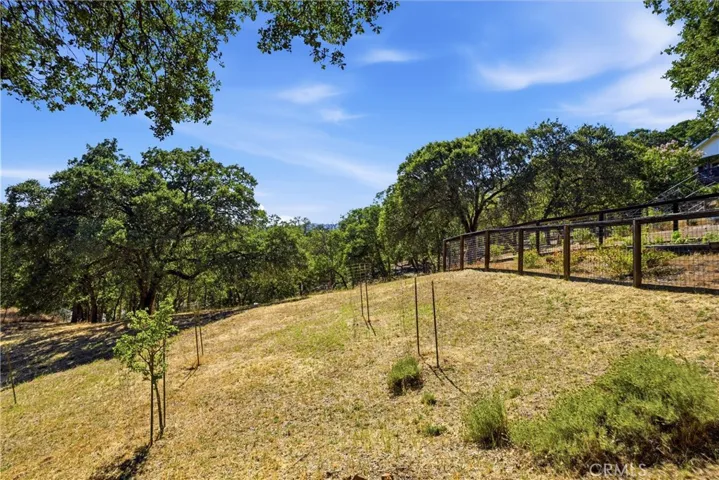 Stakes for fruit trees and yes there are some wire cages.  Hidden Valley Lake has their special herd of deer,,,,,bet you might see a fawn