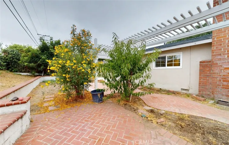 backyard view5