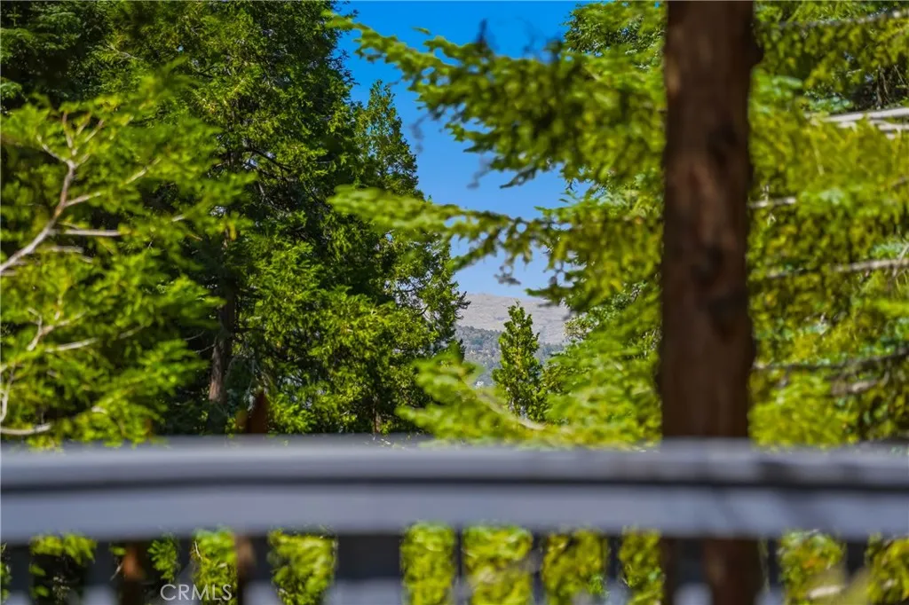View from Deck