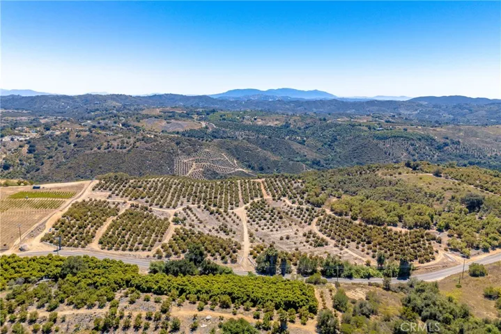 Aerial of the avocado grove showing gentle topograhy.