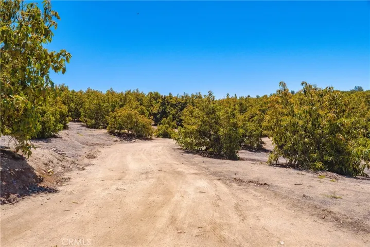 2526 Camaron, Temecula, California 92590