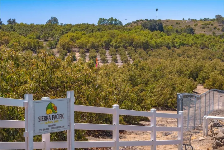 Professionally managed by Sierra Pacic Farms. Vinyl fencing along frontage.