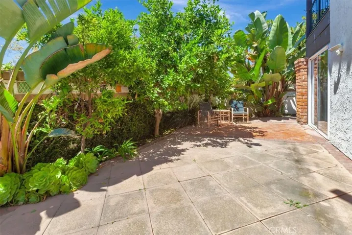 Rear Patio