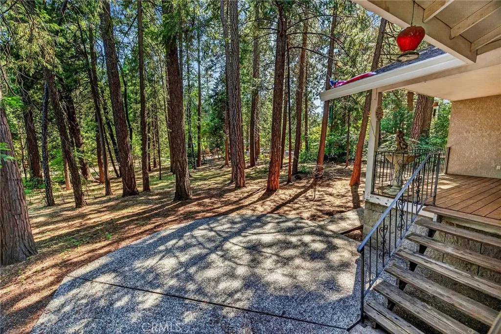 Wooded Front Yard!