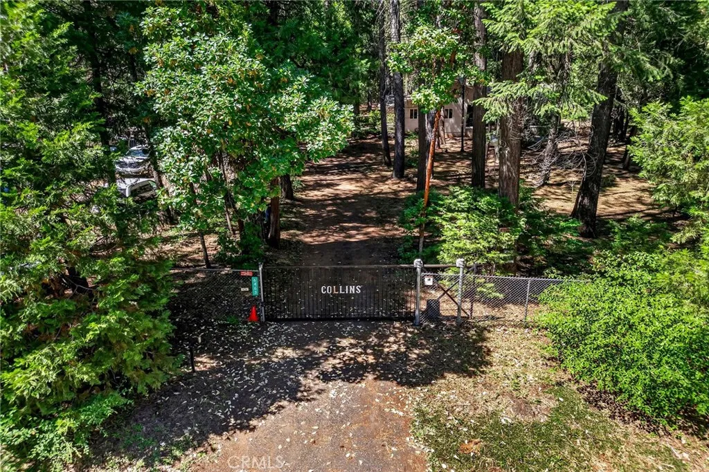 Fenced Yard & Automatic Gate