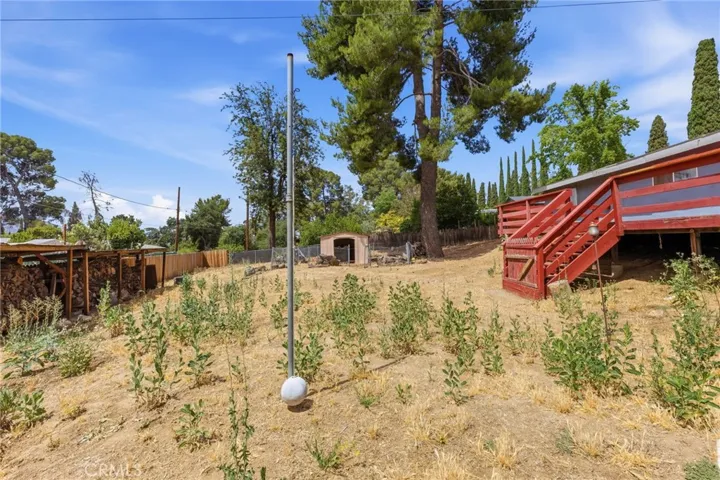 Actual backyard (+/- a few weeds)