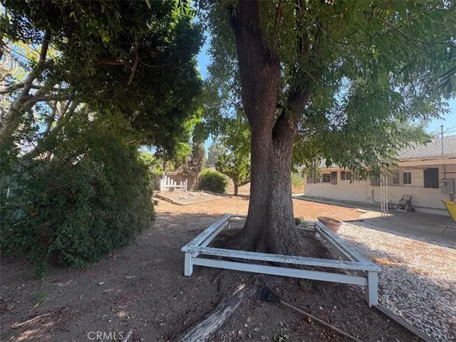 Rear Yard