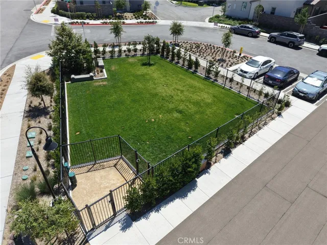 Dog Park