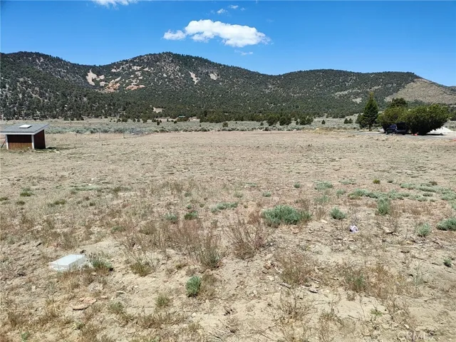 45313 4th Lane, Big Bear City, California 92314 — photo 4