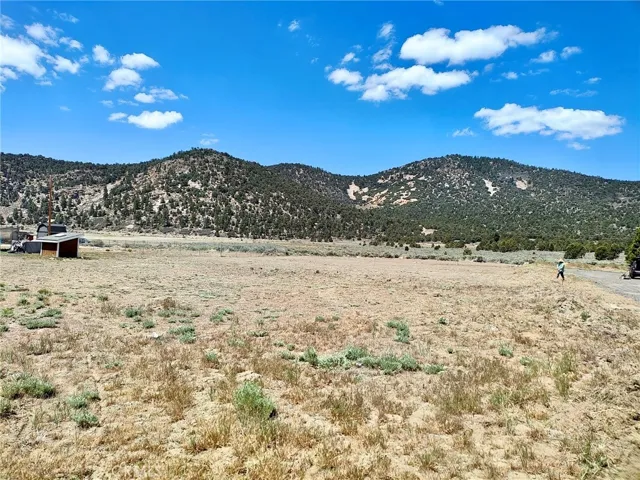 45313 4th Lane, Big Bear City, California 92314 — photo 5
