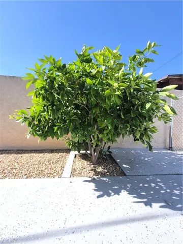 8351 Sierra Madre, Rancho Cucamonga, California 91730
