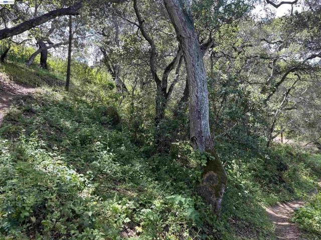 00 Marburger Ave., Belmont, California 94002