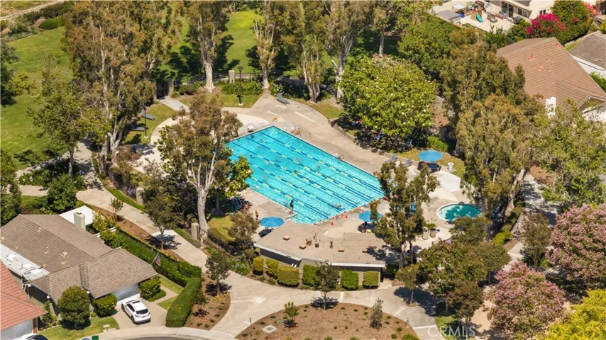 Community Junior Olympic park & pool