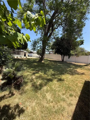 Backyard.