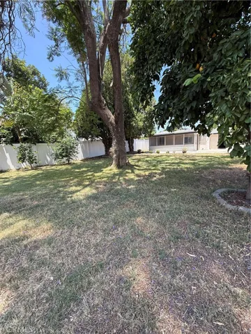 Backyard.