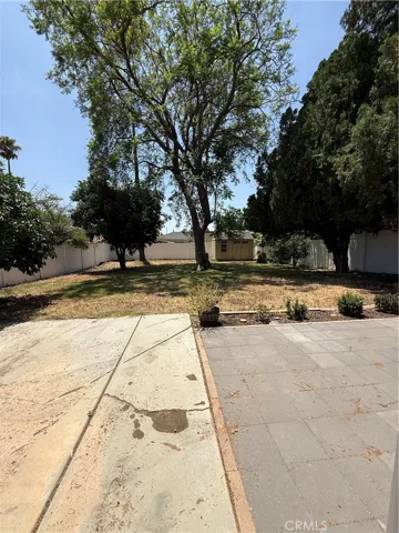 Backyard.