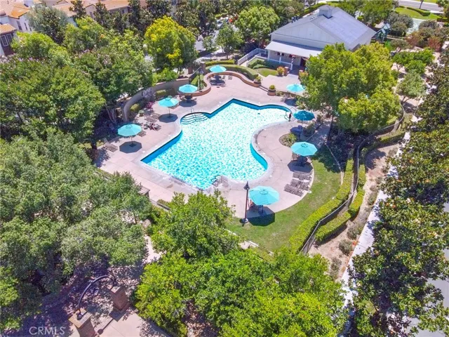 Community large swimming pool
