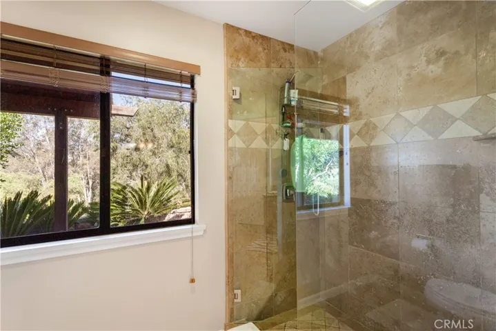 Primary shower