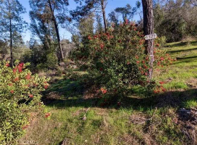 3522 Filmore Avenue, Clearlake, California 95422
