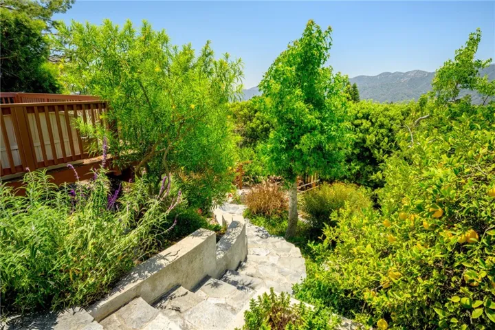 Descending the property via the steps, catching a glimpse of the productive lemon​​‌​​​​‌​​‌‌​​‌​​​‌‌​​​‌​​‌‌​​‌‌​​‌‌​​​​ tree