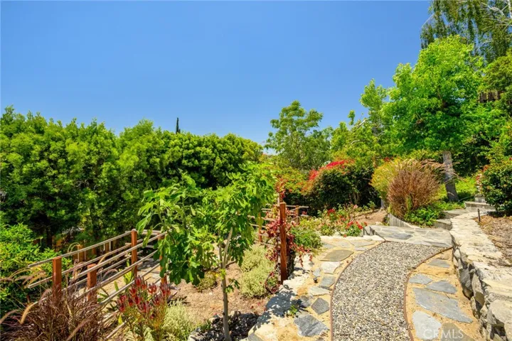 More garden exploration, with the fig tree and other lush greenery showing off on a beautiful day!