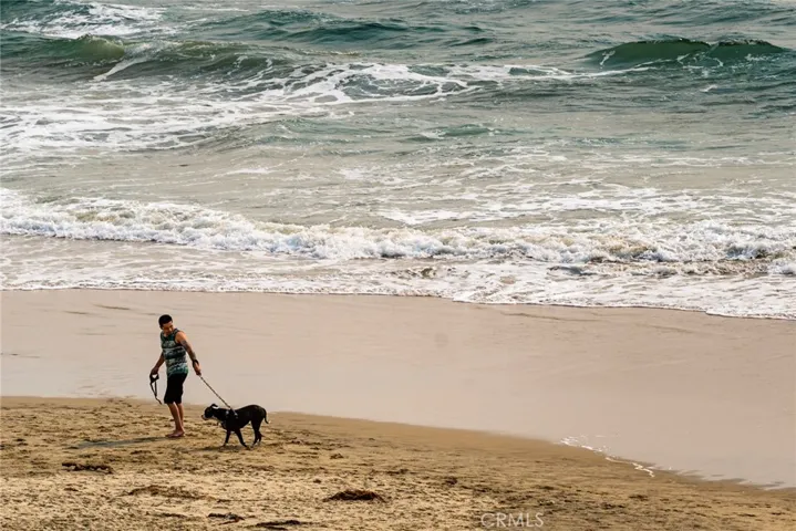 HB Dog Beach