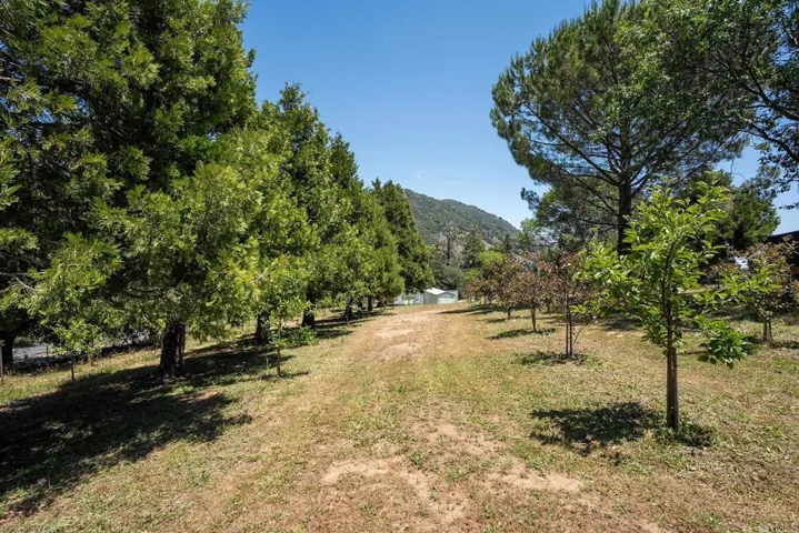 1315 Farmer Rd, Julian, California 92036