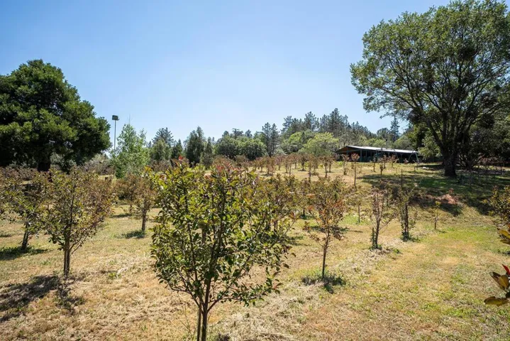 1315 Farmer Rd, Julian, California 92036