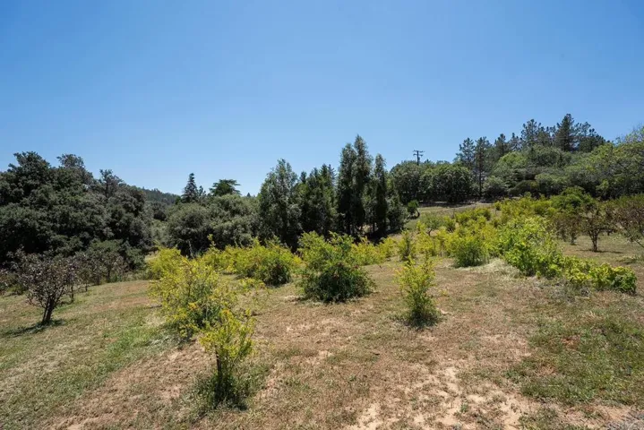 1315 Farmer Rd, Julian, California 92036