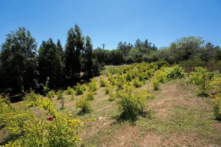 1315 Farmer Rd, Julian, California 92036