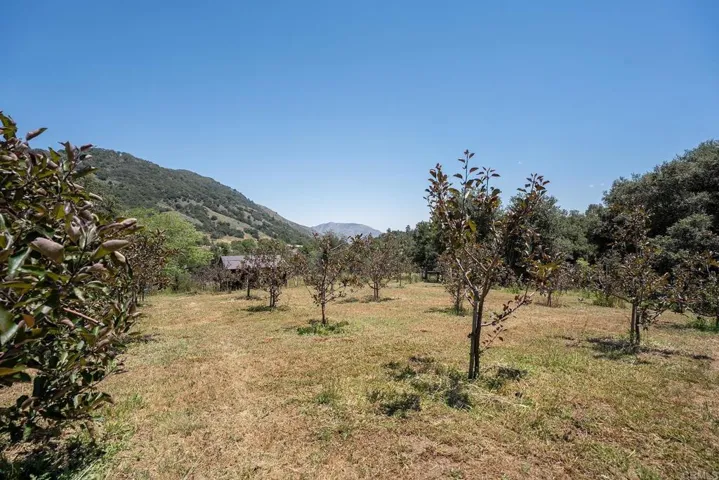 1315 Farmer Rd, Julian, California 92036