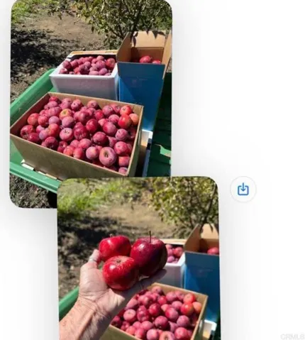 1315 Farmer Rd, Julian, California 92036