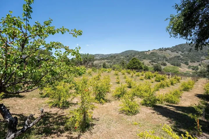 1315 Farmer Rd, Julian, California 92036