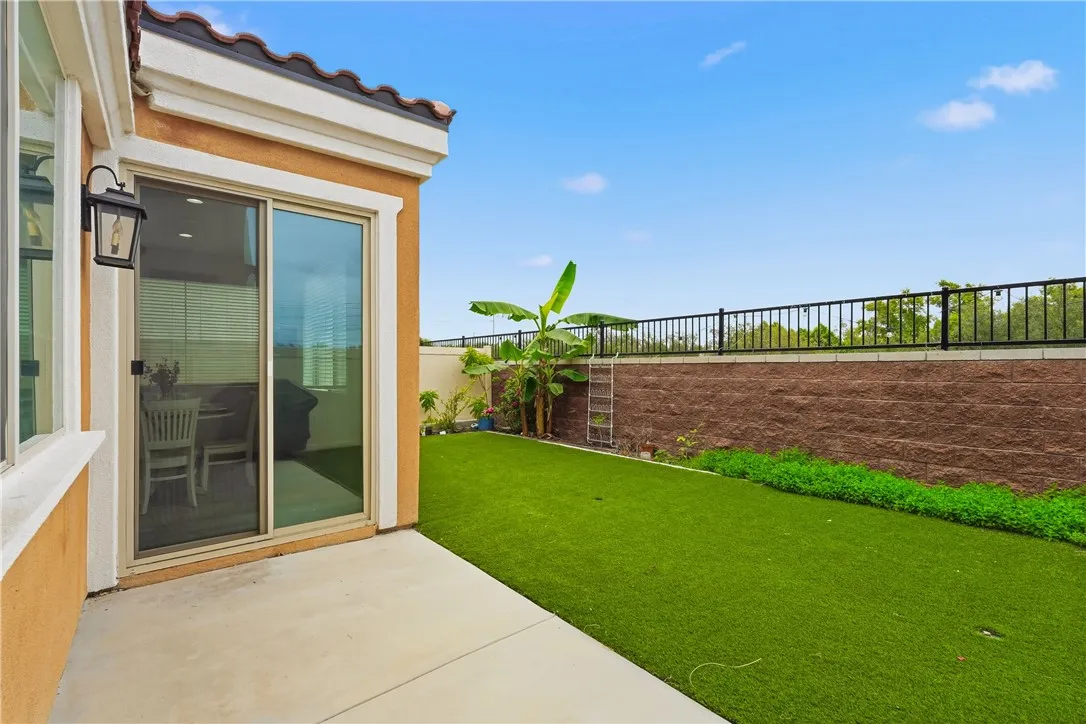 Backyard V1