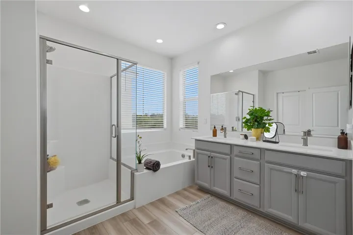 Master Bathroom V1