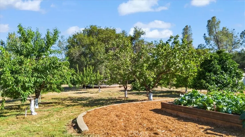31 Wahoo Avenue, Oroville, California 95966