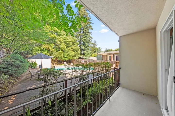 247 D, San Rafael, California 94901