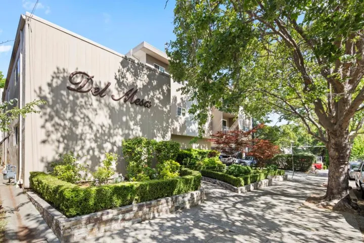 247 D, San Rafael, California 94901