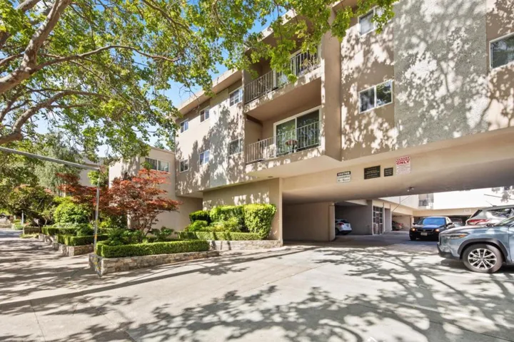 247 D, San Rafael, California 94901