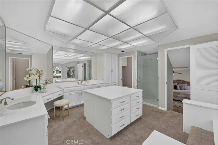 Primary bathroom includes a walk-in shower, dual sinks, dedicated vanity space, and a spacious walk-in closet, creating a comfortable private retreat